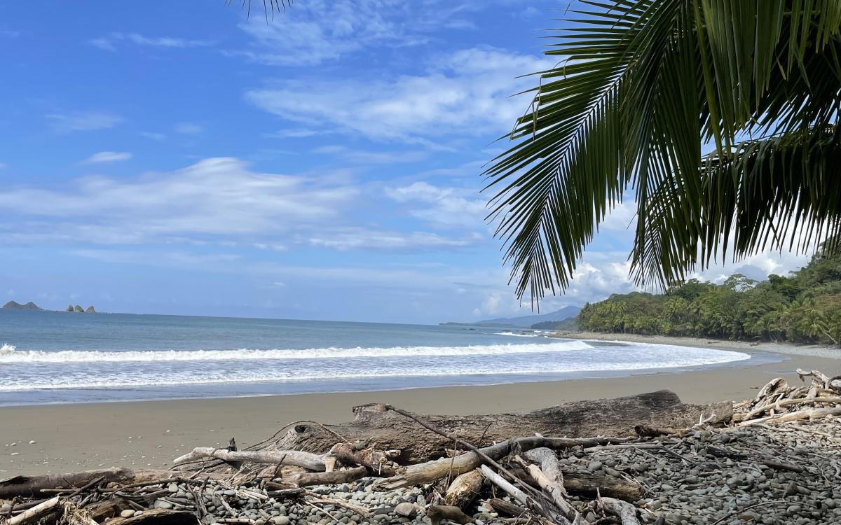 Upper section of Piñuela Beach